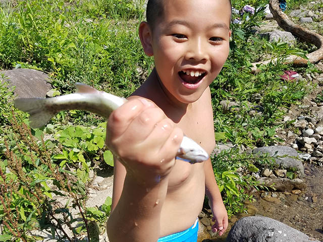 魚のつかみ取り