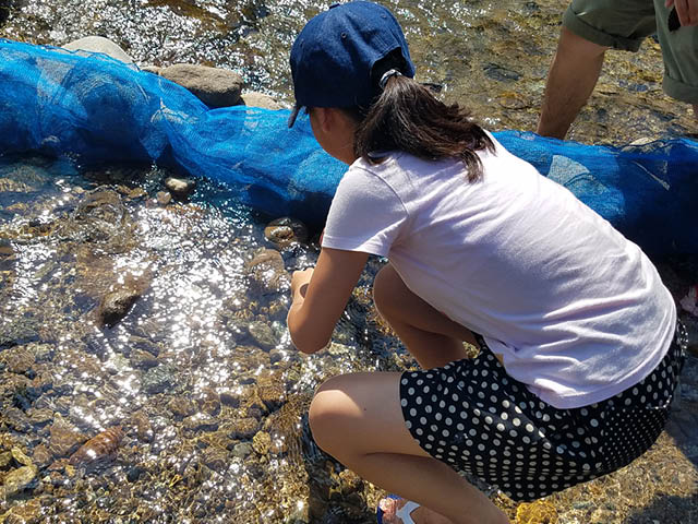 魚のつかみ取り