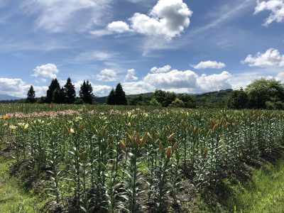 20200703お知らせ
