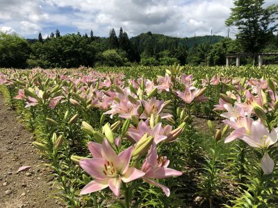 20200703お知らせ