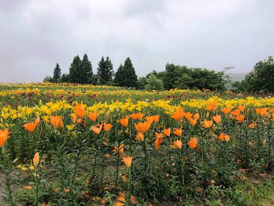 20200703お知らせ