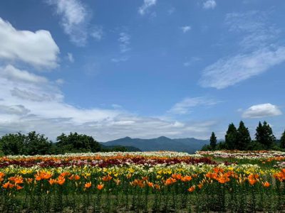 20200703お知らせ