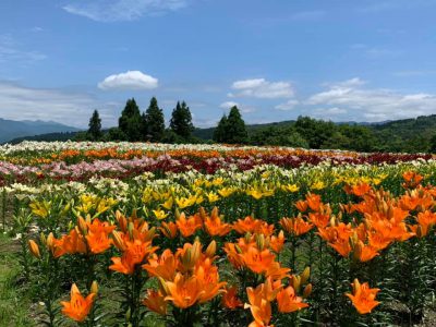 20200703お知らせ