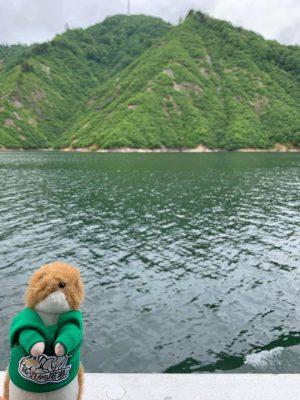 20200703お知らせ