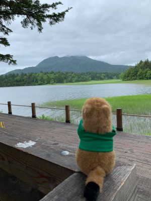20200703お知らせ