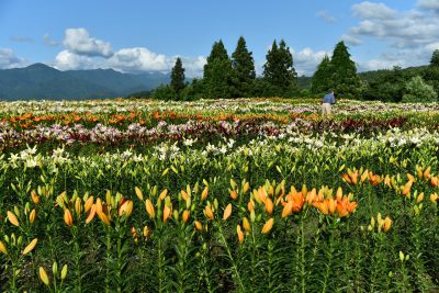 20200703お知らせ