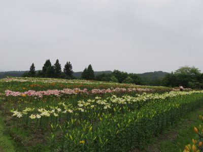 20200703お知らせ