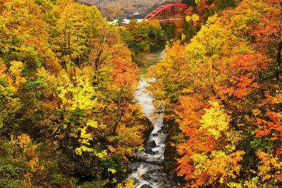 破間川渓谷　紅葉