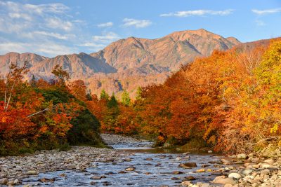 銀山平　紅葉