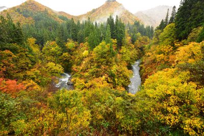 ほそど渓谷　紅葉シーズン