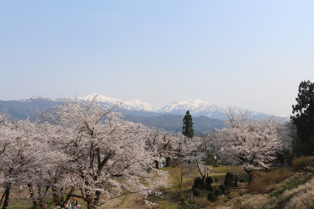 小出公園