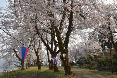 小出公園