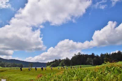 尾瀬国立公園　夏