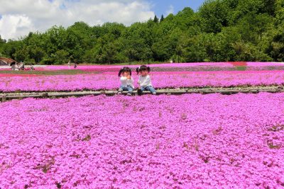 根小屋　花と緑と雪の里