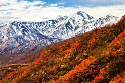 枝折峠　紅葉