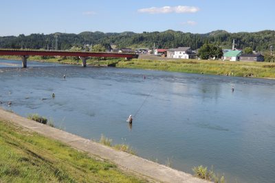 魚野川　鮎釣り