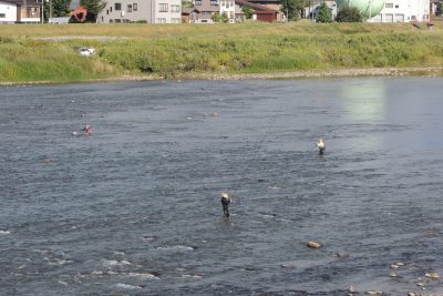 魚野川　鮎釣り