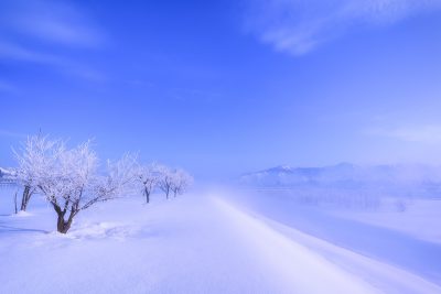 魚野川　霧氷・川霧