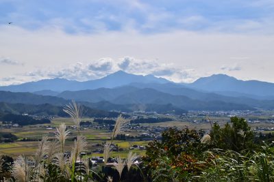 上原コスモス園