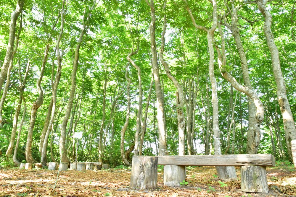 新潟県立浅草山麓エコミュージアム