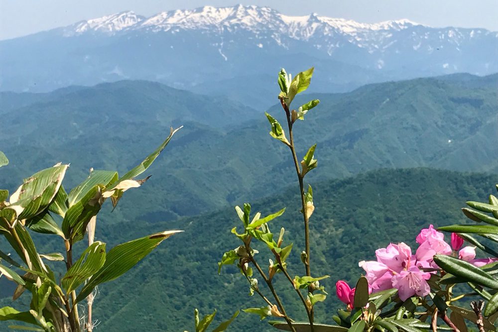 権現堂山