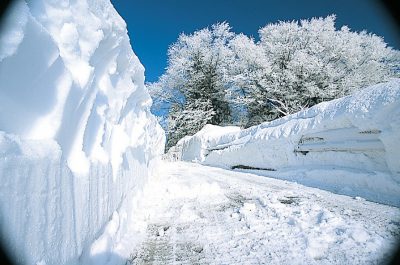 第1回【観光協会長賞】豪雪にシガ