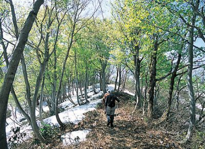 第1回【銀賞】早春の道