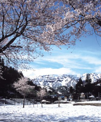 第2回【カレンダー賞】雪国の春