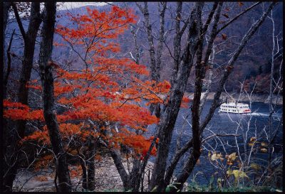 第6回【四季「秋」賞】晩秋の湖畔