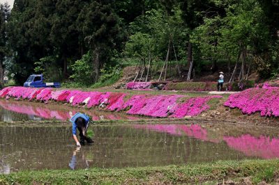 第6回【BSN新潟放送賞】田植えの頃