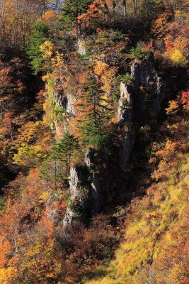 第13回【越南タイムズ賞】紅葉の岩峰