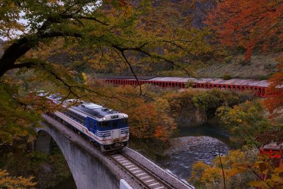 第13回【入賞】紅葉のトンネルを行く