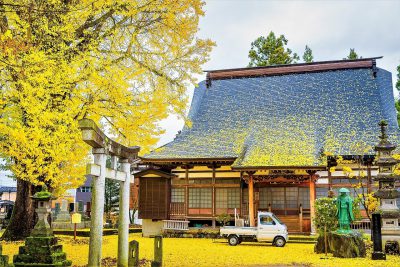 第14回【四季「秋」賞】不動院の大銀杏