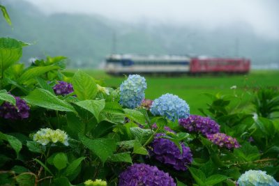 第15回【入賞】梅雨時