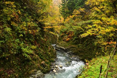 ほそど渓谷　紅葉シーズン