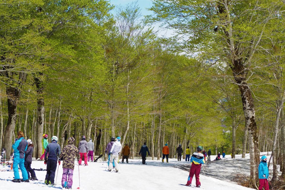 奥只見丸山スキー場