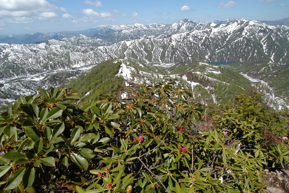 荒沢岳