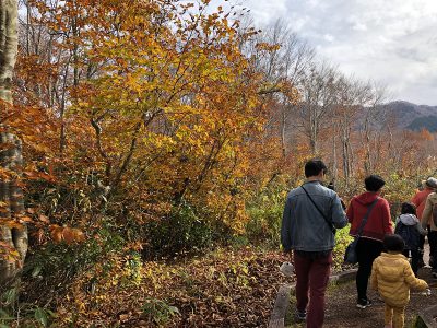 魚沼紅葉めぐりと牛の角突き見学