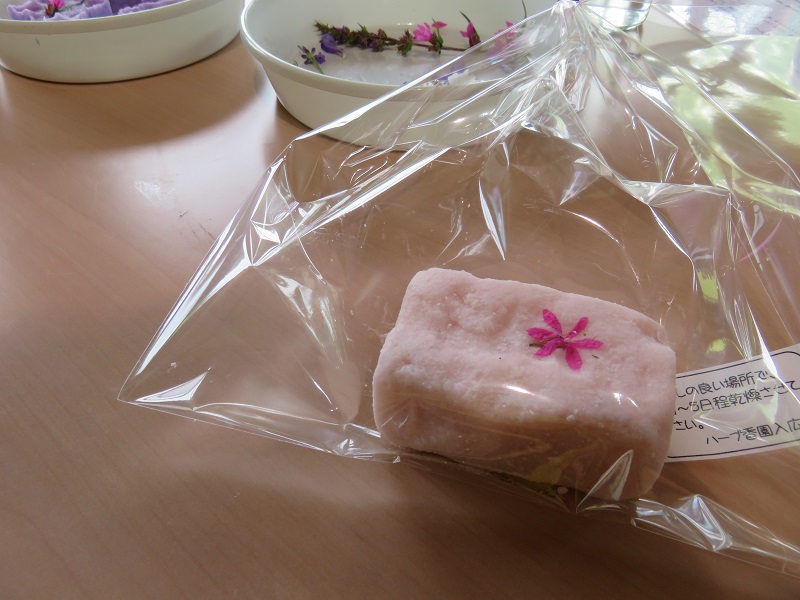尾瀬ハイキングとうおぬまハーブ体験