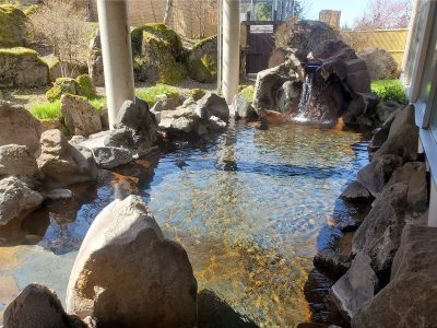 コラム　神湯とふれあいの里