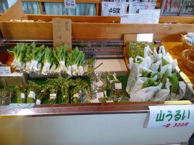 道の駅　いりひろせ