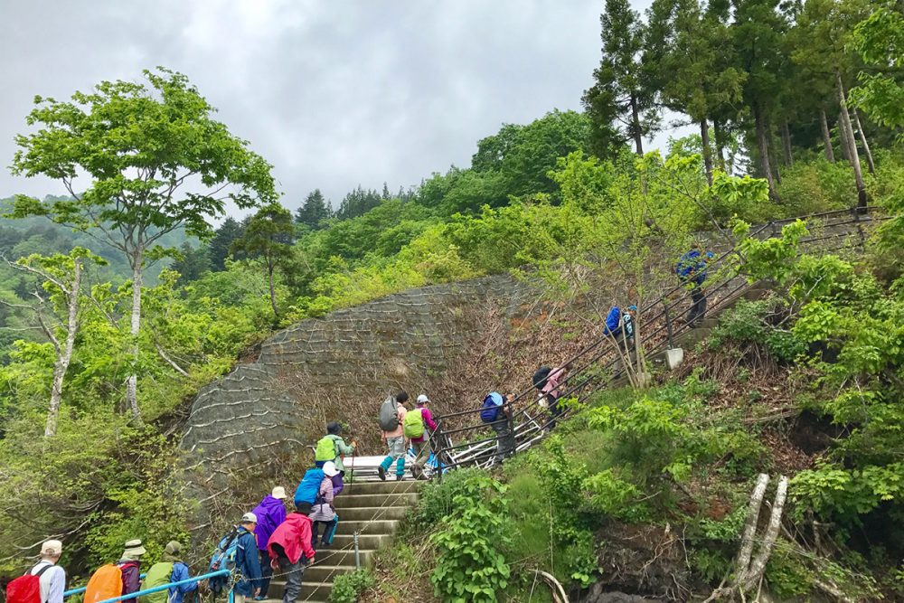 尾瀬　魚沼日帰りコース