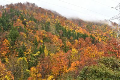 六十里越峠　紅葉