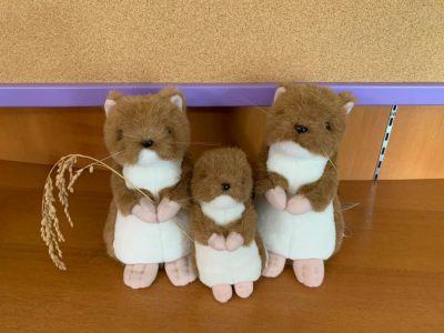 20191015お知らせ