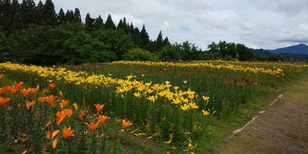 20200703お知らせ
