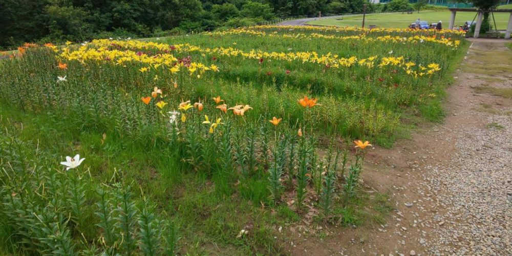 20200703お知らせ