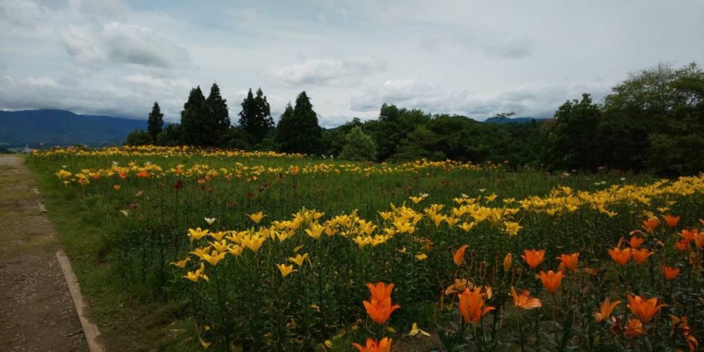 20200703お知らせ