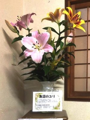 民宿 治兵衛