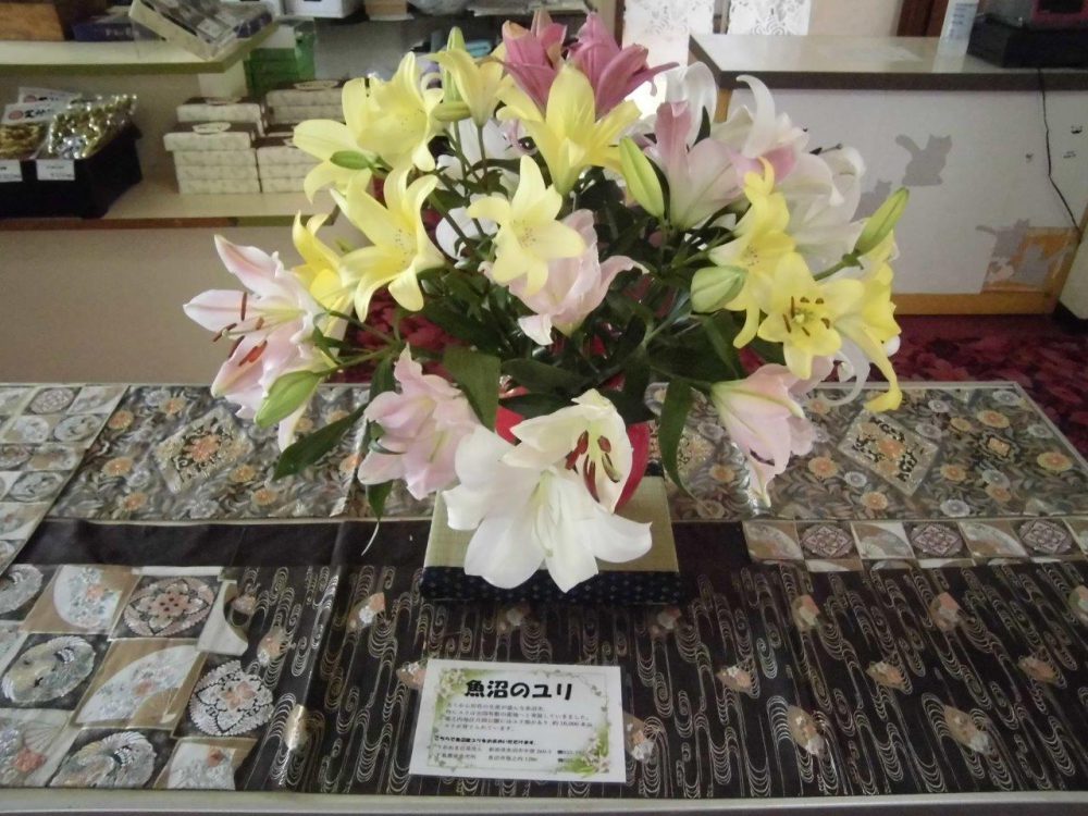 折立温泉ホテルさかえや