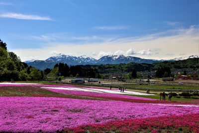 20210506お知らせ